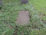 image of grave number 597696